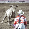 Prescott Frontier Days, Inc. - World's Oldest Rodeo gallery