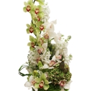 Flowers by Pouparina - Flowers, Plants & Trees-Silk, Dried, Etc.-Retail