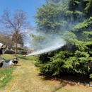San Diego Wildlife Control - Animal Removal Services
