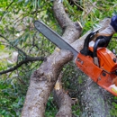 Leo's Tree Service - Tree Service