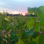 Gallery Image Number 8