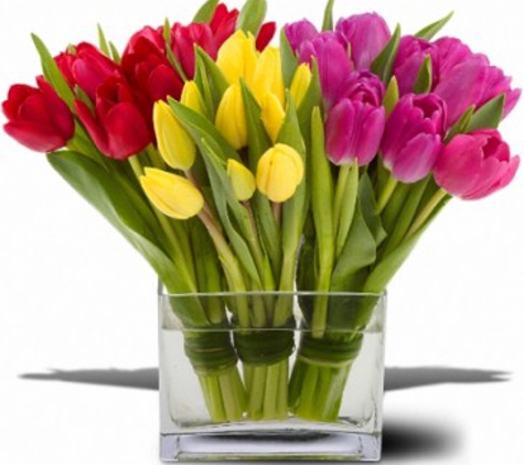 Sunnywoods Florist - Chatham, NJ. Tulip Trio