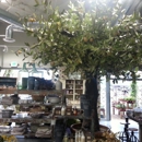 Rolling Greens - Nurseries-Plants & Trees