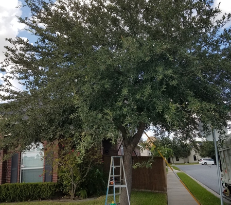 Carranza Tree Service - Mission, TX