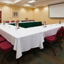 Holiday Inn Madison at the American Center by IHG - Hotels