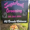 Sugar Loaf Grooming & Boarding gallery