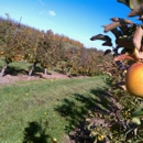 Lynd's Fruit Farm - Orchards