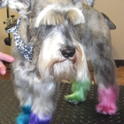 Pampered Pooch Fur Salon The