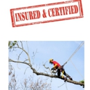 Sarasota Tree Care & Services - Tree Service