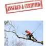 Sarasota Tree Care & Services