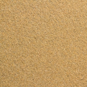 Gallery Image Number 4