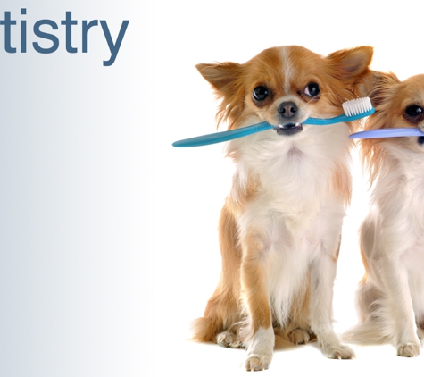 Glenvale Veterinary Clinic. Dentistry
