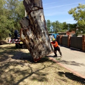 Gallery Image Number 8