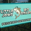 Little Jaws Big Smiles gallery