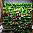 Botanicus, Inc. - Plants-Interior Design & Maintenance