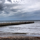 Lake Erie State Park - State Parks