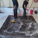 Alexandria Green Rug & Carpet Cleaning - Carpet & Rug Cleaners