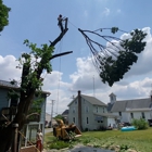 Long's Tree Service
