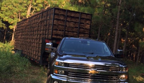 Dunwoody pine Straw LLC - Doraville, GA