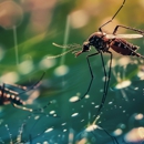 Eagle Termite & Pest Control - Pest Control Equipment & Supplies
