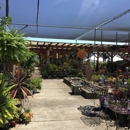 Alladin Nursery & Gift Shop - Nurseries-Plants & Trees