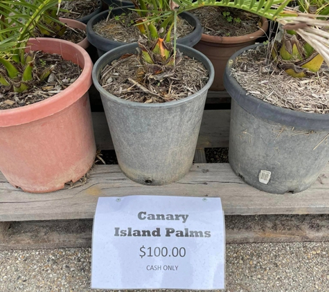 Bedrock Garden Supplies - Alexandra, VIC