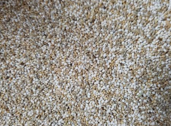 Boylans Garden & Pet Supplies - Bundaberg Central, QLD