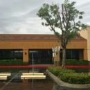 Buffalo Wild Wings - Bars