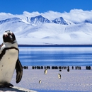 Executive Travel Service - Travel Agencies