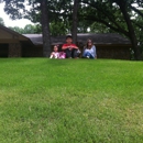 Sod Co Tex Turf - Sod & Sodding Service