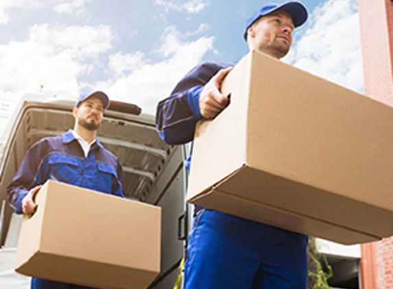 Springwood Removals