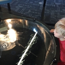 Discovery Cube Los Angeles - Children's Museums