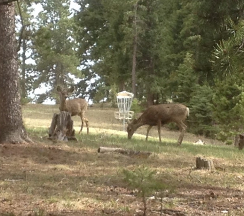 Beaver Ranch - Conifer, CO