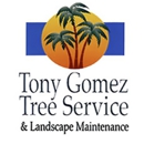 Tony Gomez Tree Service - Tree Service
