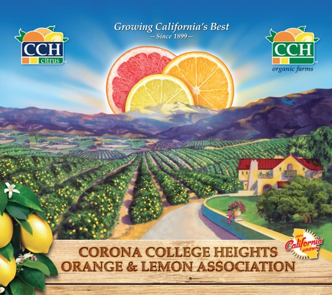 EtvSpots, Inc - Los Angeles, CA. CCH Citrus / New branding / Etvspots Digital branding agency