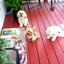 Ur Pet's Home Away From Home Boarding - Pet Sitting & Exercising Services