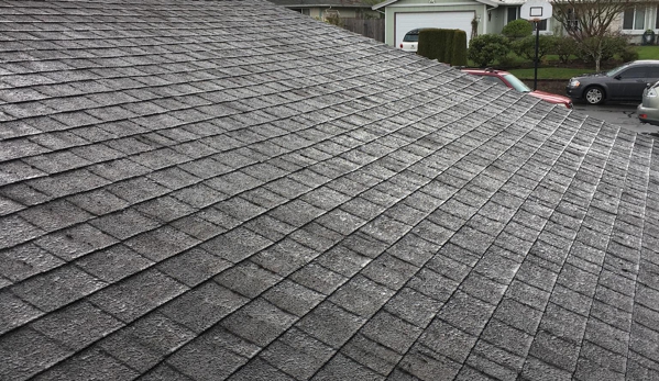 SAFE Roof Cleaning Moss Removal and Gutter Cleaning