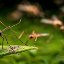 Don't Bug Me Pest Control - Pest Control Equipment & Supplies