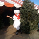 North Pole Farms - Christmas Trees