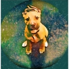 Neo's Pet Oasis gallery