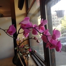 Intrinsic Cafe - Restaurants