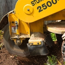 Ben's Stump Grinding, LLC - Tree Service