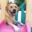 Dogs Unleashed - Pet Boarding & Kennels