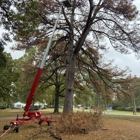 T&C Tree Services