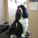 Clipper Ship Pet Grooming - Pet Boarding & Kennels