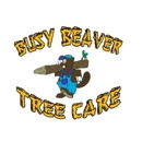 Busy Beaver Tree Care - Tree Service