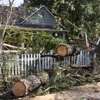 Ashton Tree Service gallery