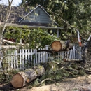 Ashton Tree Service - Landscaping & Lawn Services