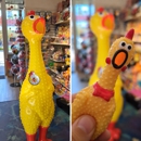 BrainyZoo Toys