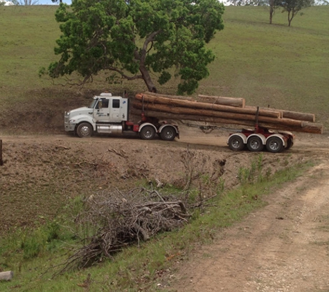 Log Check Forestry. EPA Logging Approved. Forestry Management NSW